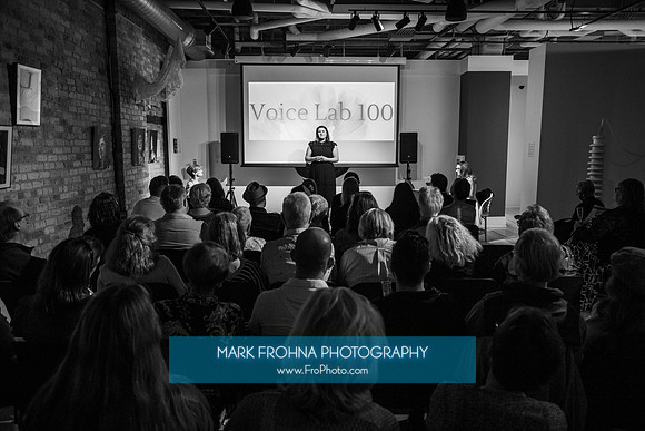 MOT Voice Lab 100-75-2