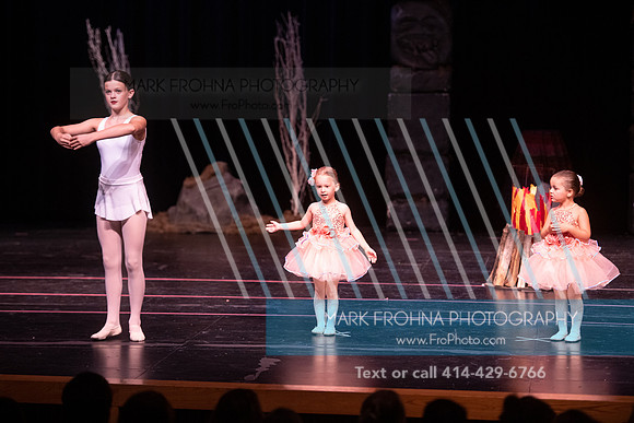 BRIO La Bayadere-114