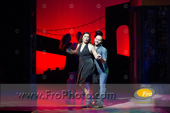 Skylight In the Heights Preview-92