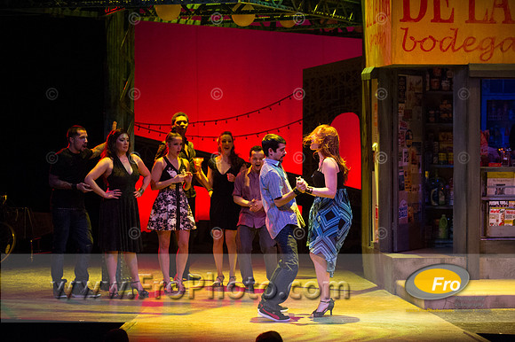 Skylight In the Heights Preview-98