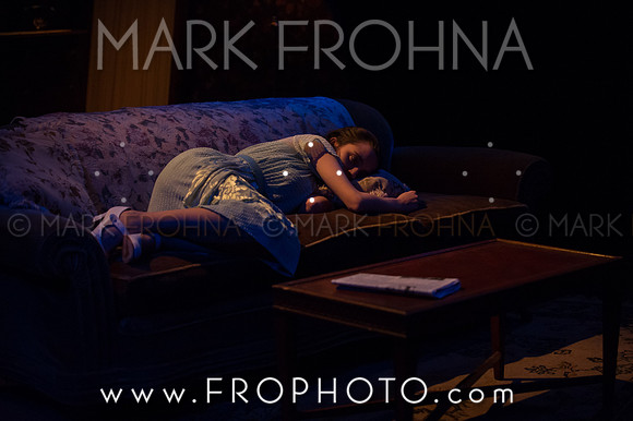 In Tandem Glass Menagerie-107