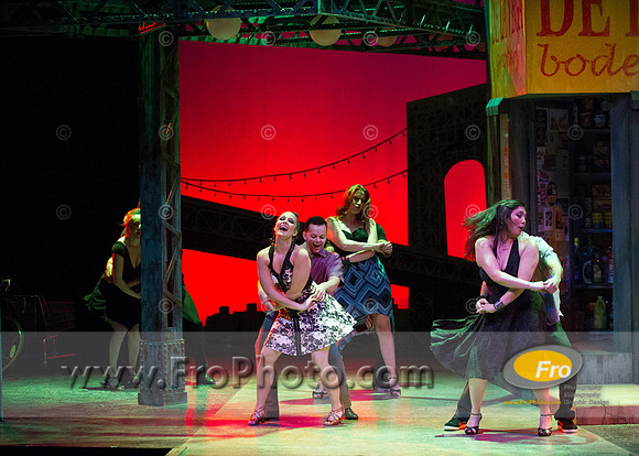 Skylight In the Heights Preview-103