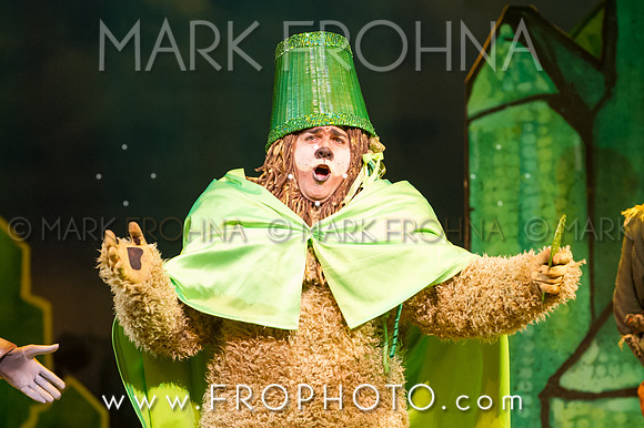 Skylight Wizard of Oz Selects-38