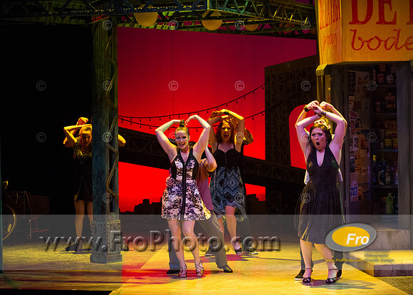 Skylight In the Heights Preview-104