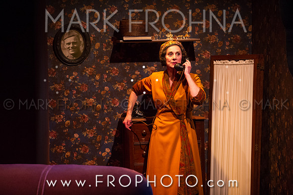 In Tandem Glass Menagerie-66
