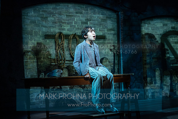 Skylight Oliver Highlights-9