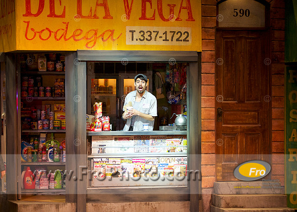 Skylight In the Heights Preview 005