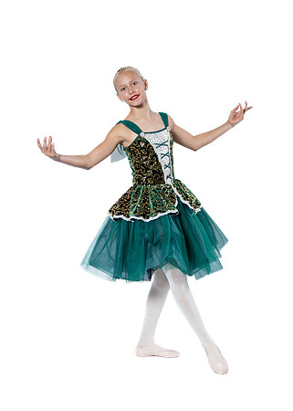 KADS Cinderella 2025 Promos-5 copy
