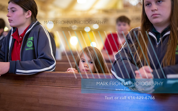 St Jerome Feast Day 2022-49