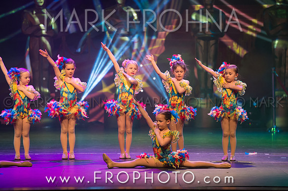 BDA Tiny Jazz-17