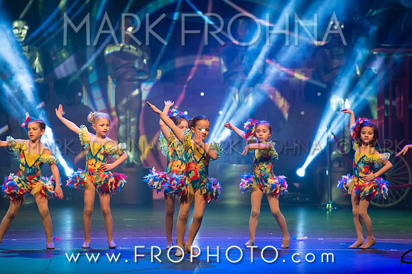 BDA Tiny Jazz-18