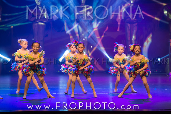 BDA Tiny Jazz-20