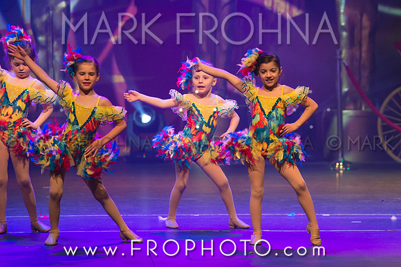 BDA Tiny Jazz-22