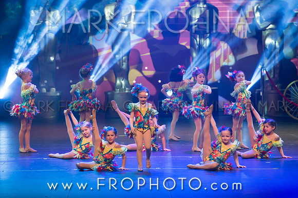 BDA Tiny Jazz-3-2