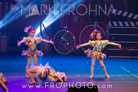 BDA Tiny Jazz-6