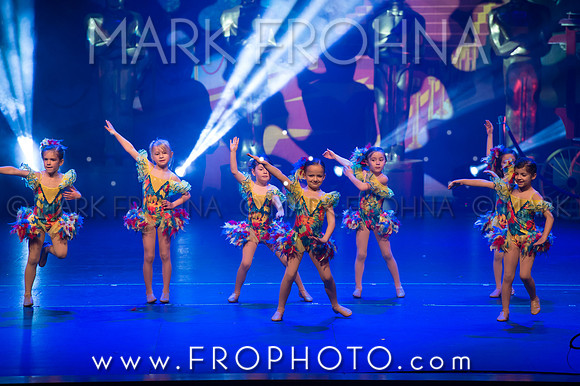 BDA Tiny Jazz-14-2
