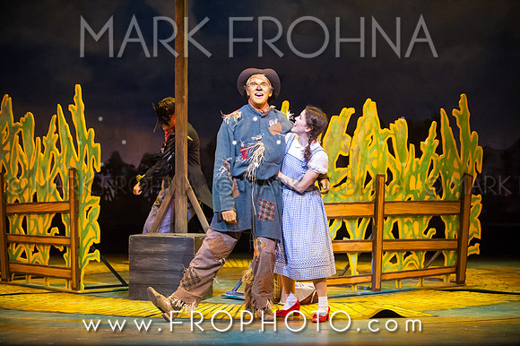 Skylight Wizard of Oz Selects-11