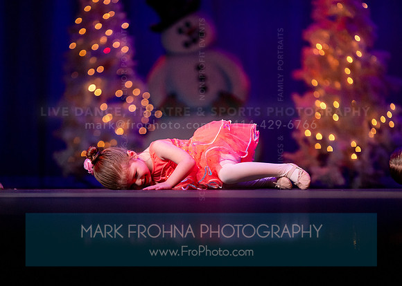 Brio Developmental Recital November 2024-258