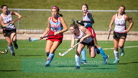 DSHA Field Hockey 2022 State Champions-80