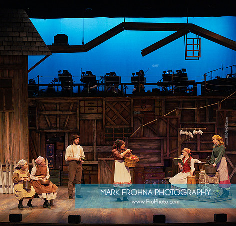 Skylight Fiddler on the Roof Selects-101