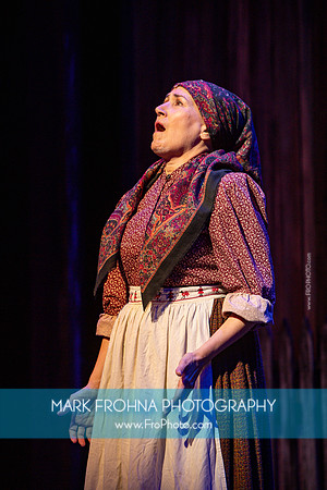Skylight Fiddler on the Roof Selects-257