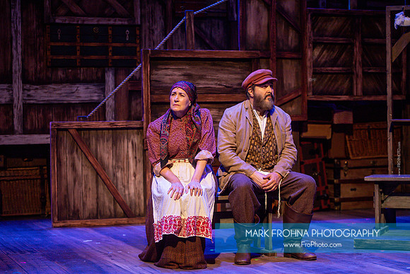 Skylight Fiddler on the Roof Selects-252
