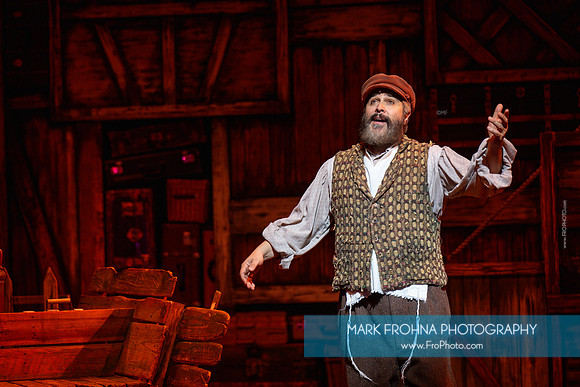 Skylight Fiddler on the Roof Selects-49