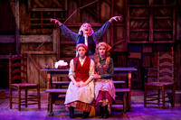 Skylight Fiddler on the Roof Selects-28