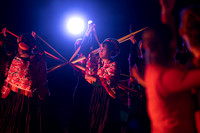 Wild Space Dance InSite Field Guide 2025-1