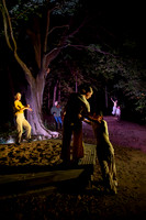 Wild Space Dance InSite Field Guide 2025-5