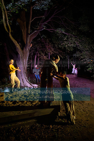 Wild Space Dance InSite Field Guide 2025-5