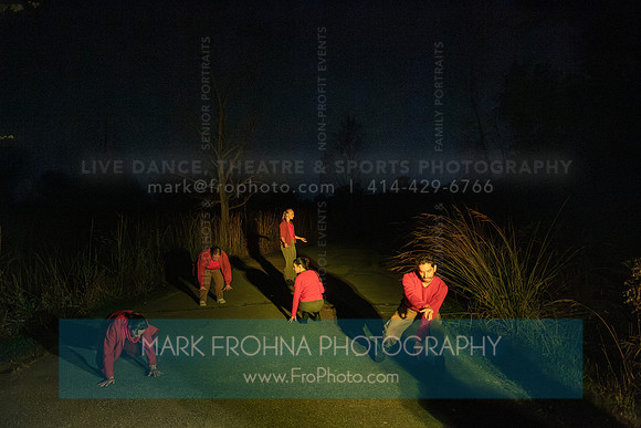 Wild Space Dance InSite Field Guide 2025-9