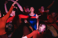Wild Space Dance InSite Field Guide 2025-11