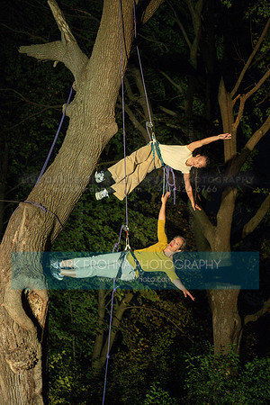 Wild Space Dance InSite Field Guide 2025-3