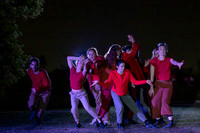 Wild Space Dance InSite Field Guide 2025-2
