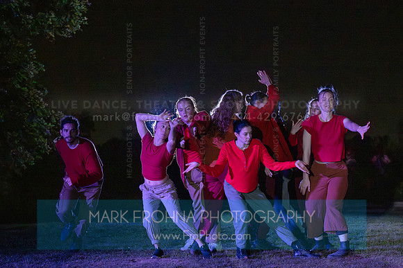 Wild Space Dance InSite Field Guide 2025-2