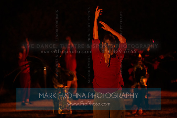 Wild Space Dance InSite Field Guide 2025-85