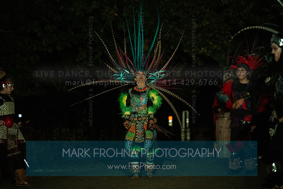 Wild Space Dance InSite Field Guide 2025-76
