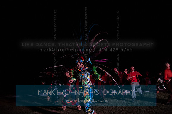 Wild Space Dance InSite Field Guide 2025-77