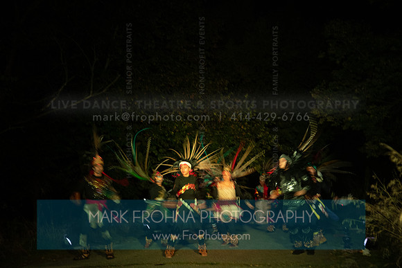 Wild Space Dance InSite Field Guide 2025-74