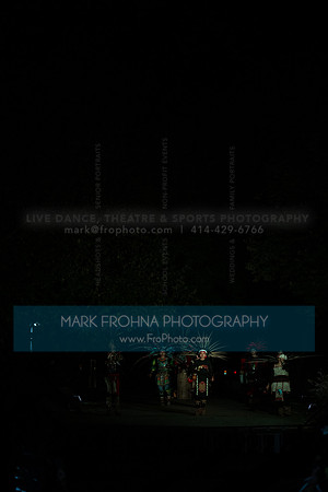 Wild Space Dance InSite Field Guide 2025-71