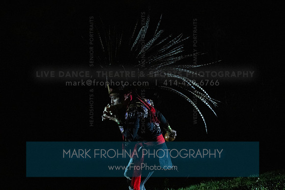Wild Space Dance InSite Field Guide 2025-59