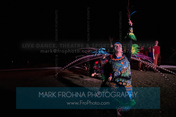 Wild Space Dance InSite Field Guide 2025-78