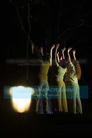 Wild Space Dance InSite Field Guide 2025-56
