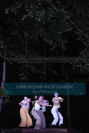 Wild Space Dance InSite Field Guide 2025-51