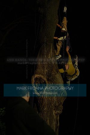 Wild Space Dance InSite Field Guide 2025-41