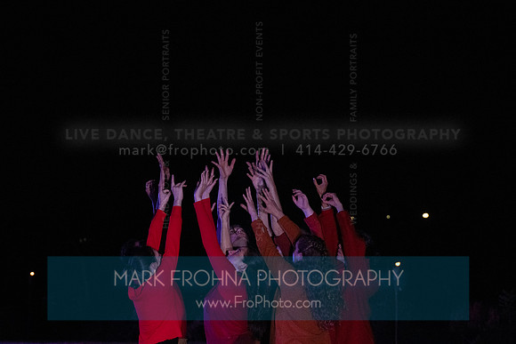 Wild Space Dance InSite Field Guide 2025-38
