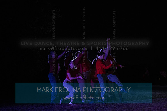 Wild Space Dance InSite Field Guide 2025-37