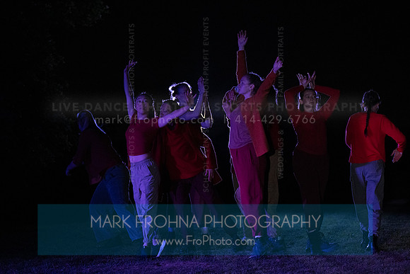 Wild Space Dance InSite Field Guide 2025-36