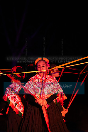 Wild Space Dance InSite Field Guide 2025-33